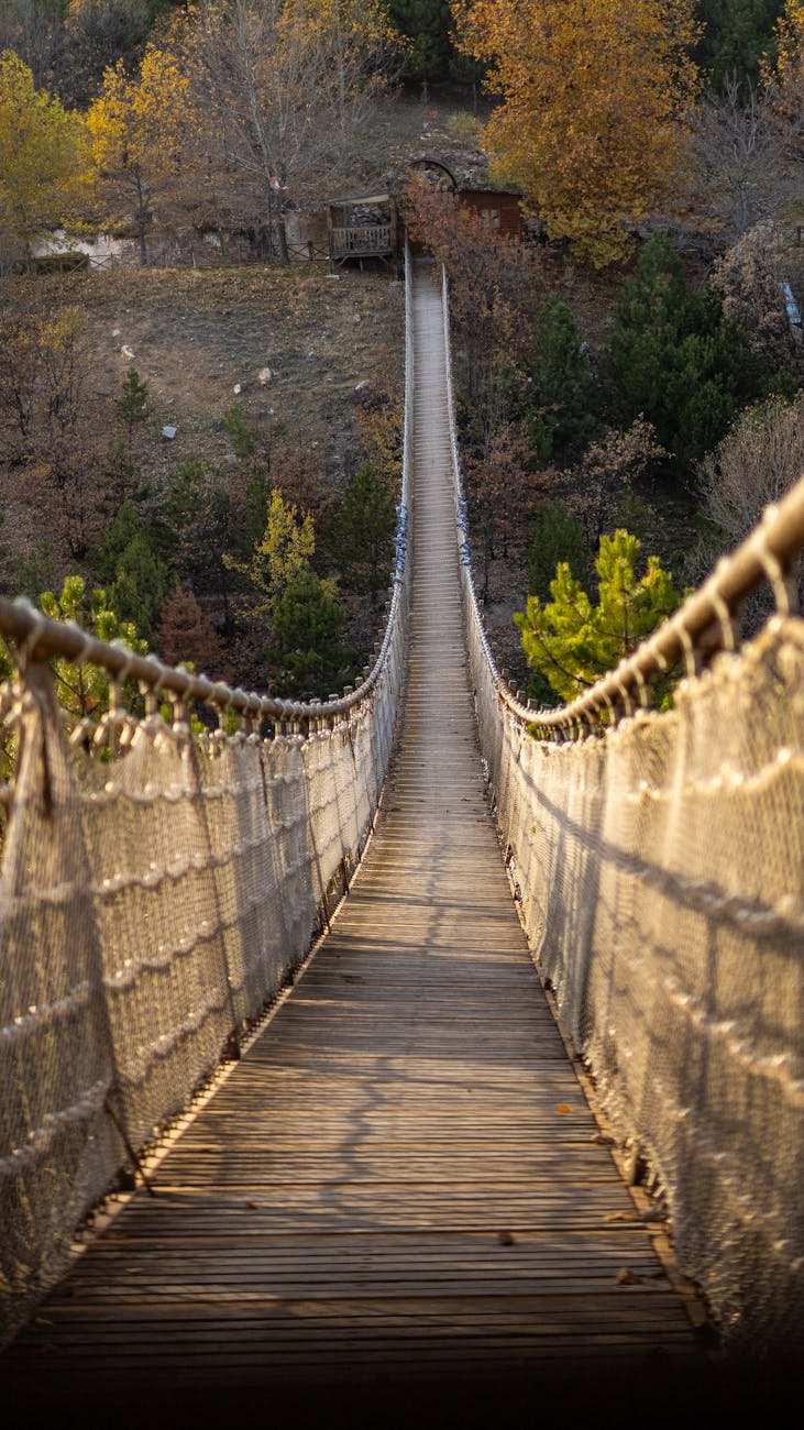 The Knowing–Doing Gap: Why Insight Isn’t Enough